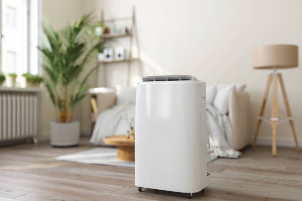 Best Best HVAC companies  in Lyles, TN